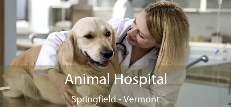 Animal Hospital Springfield - Vermont