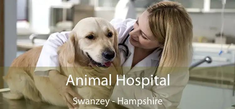 Animal Hospital Swanzey - Hampshire